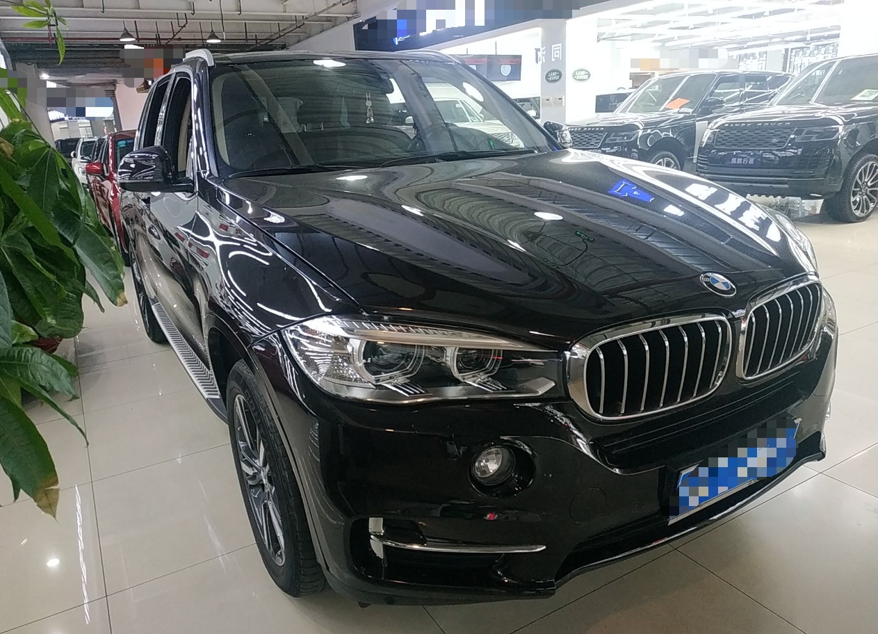 宝马X5 2018款 xDrive35i 典雅型(进口)