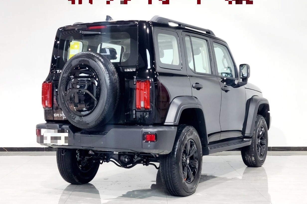 坦克300 2023款 越野版 2.0T 征服者