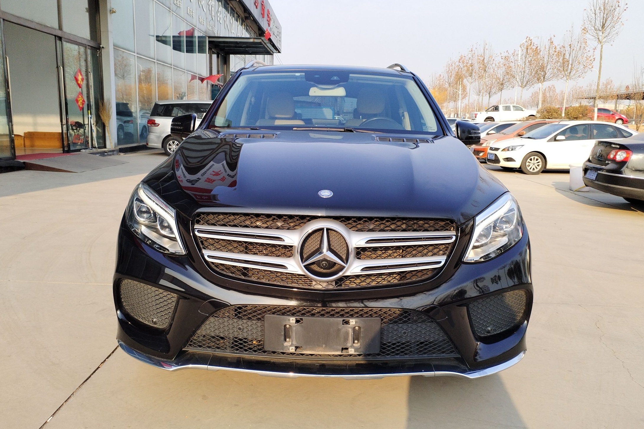 奔驰GLE级 2016款 GLE 320 4MATIC 动感型(进口)