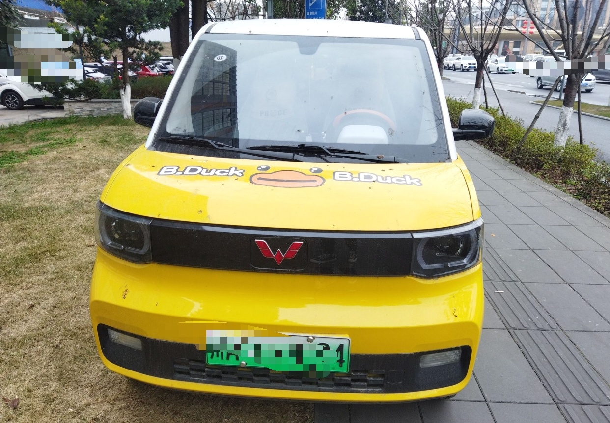 五菱汽车 宏光MINI EV 2021款 马卡龙时尚款 三元锂