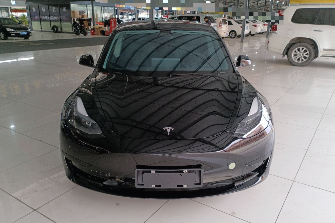 特斯拉 Model 3 2022款 后轮驱动版