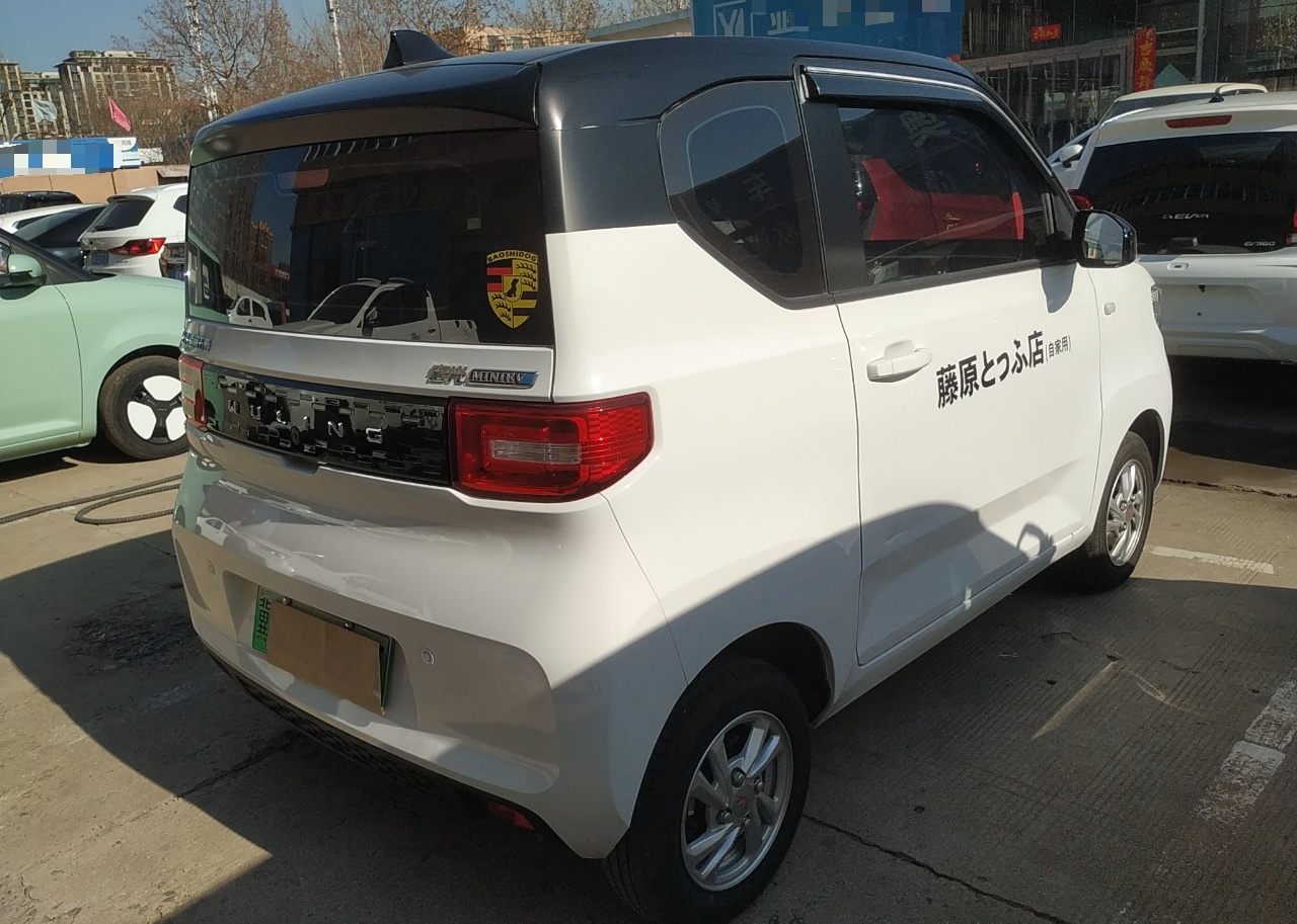 五菱汽车 宏光MINI EV 2020款 轻松款 三元锂