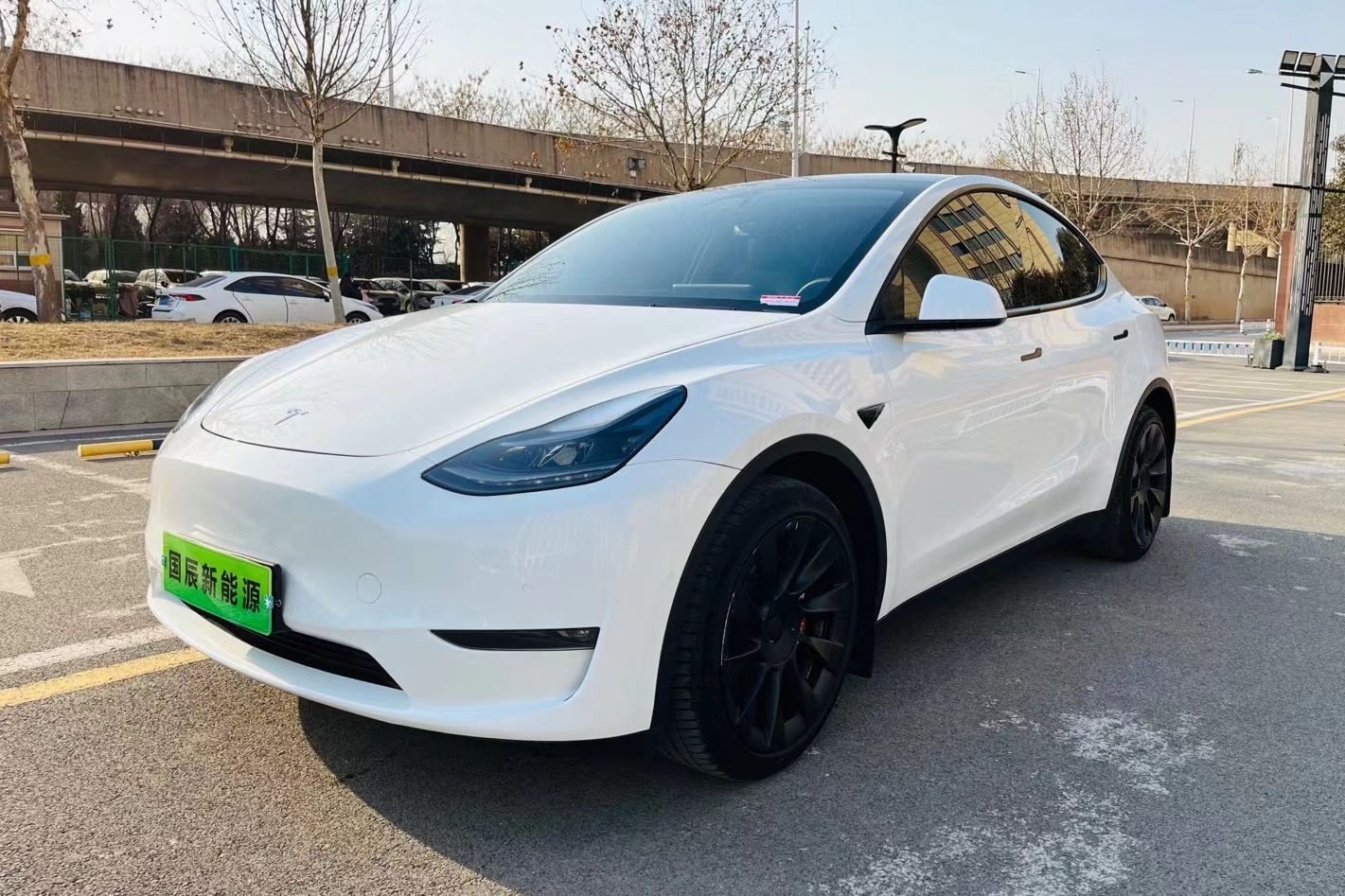 特斯拉 Model Y 2021款 长续航全轮驱动版 3D7