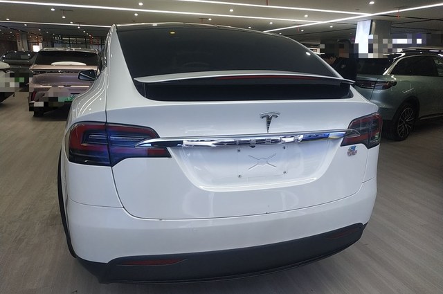 特斯拉Model X 2019款 长续航版(进口)