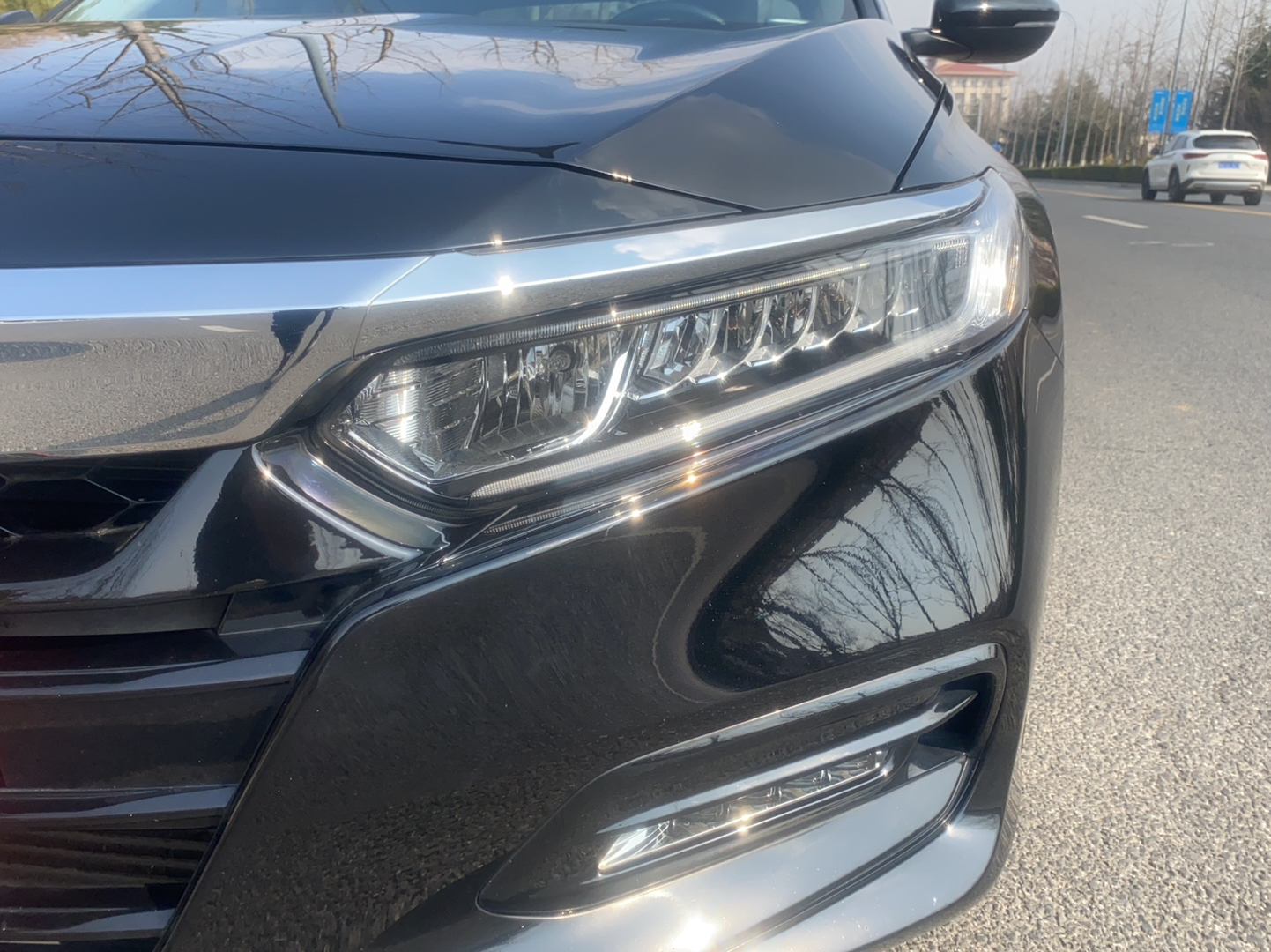 本田 雅阁 2018款 260TURBO 精英版 国V