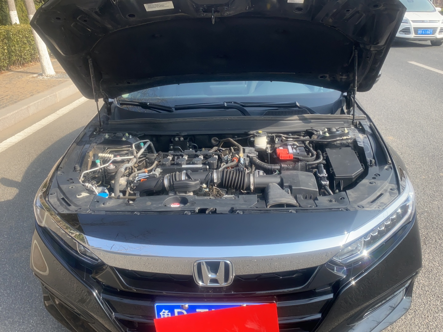 本田 雅阁 2018款 260TURBO 精英版 国V