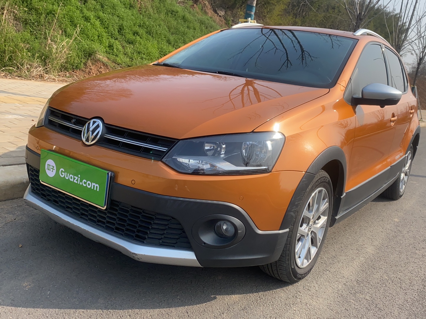 大众POLO 2014款 1.6L Cross POLO 自动