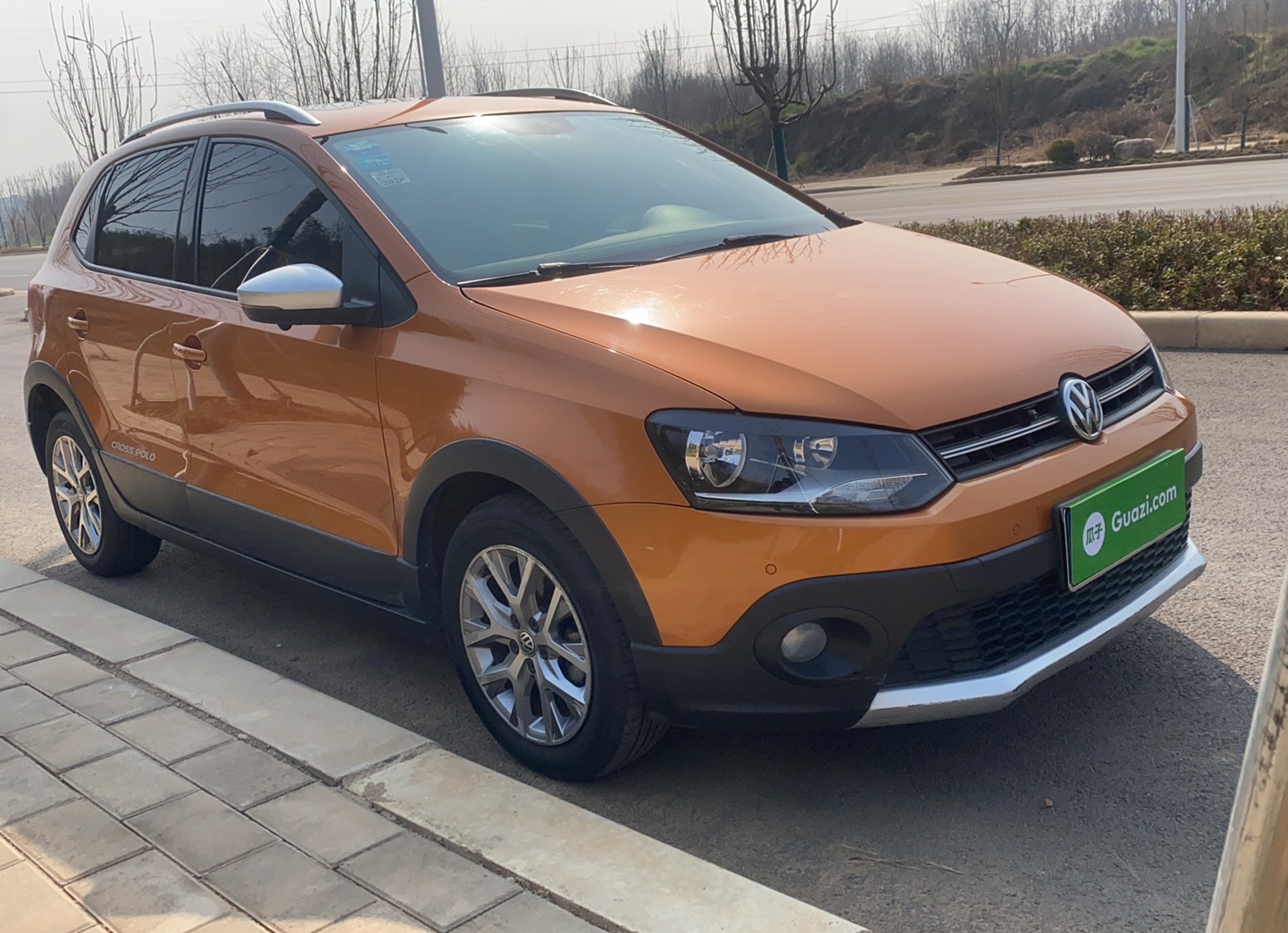 大众POLO 2014款 1.6L Cross POLO 自动