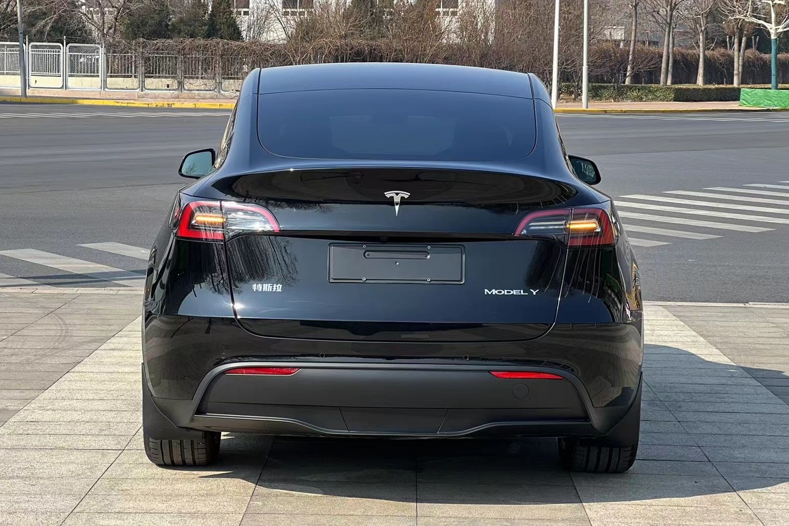 特斯拉 Model Y 2021款 标准续航后驱版