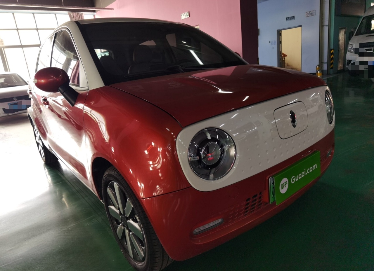 欧拉黑猫 2021款 351km 豪华型