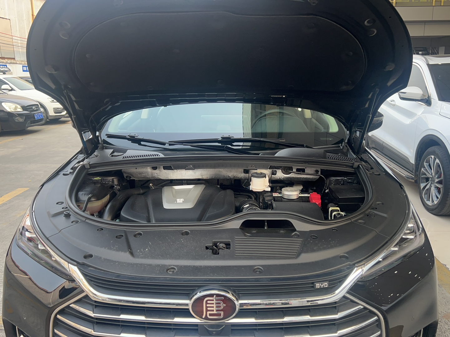 比亚迪 唐 2019款 2.0T 自动智联尊荣型 7座 国VI