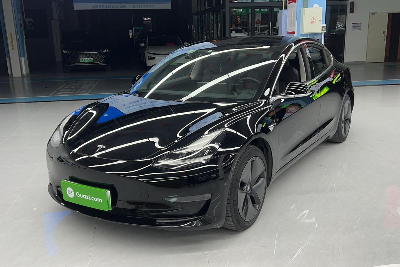 特斯拉 Model 3 2019款 长续航后驱版(进口)