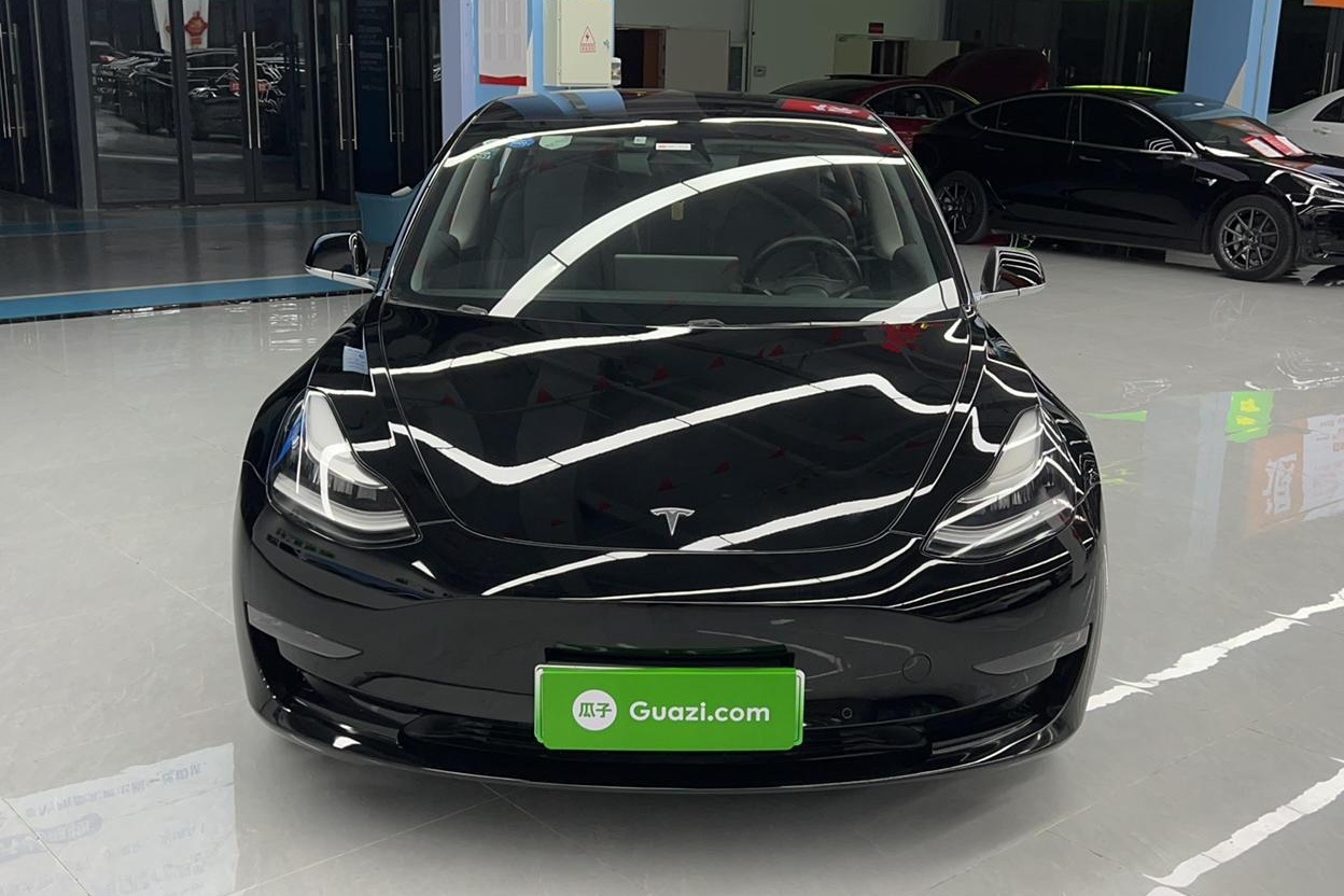 特斯拉 Model 3 2019款 长续航后驱版(进口)