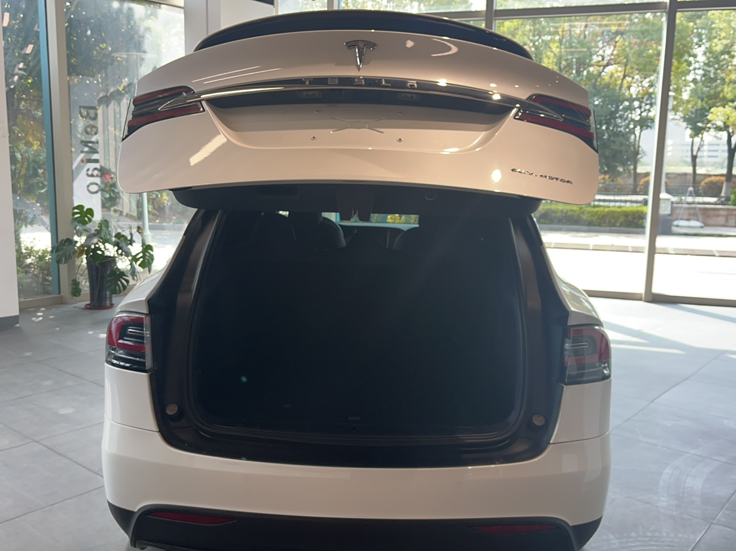 特斯拉Model X 2019款 长续航版(进口)