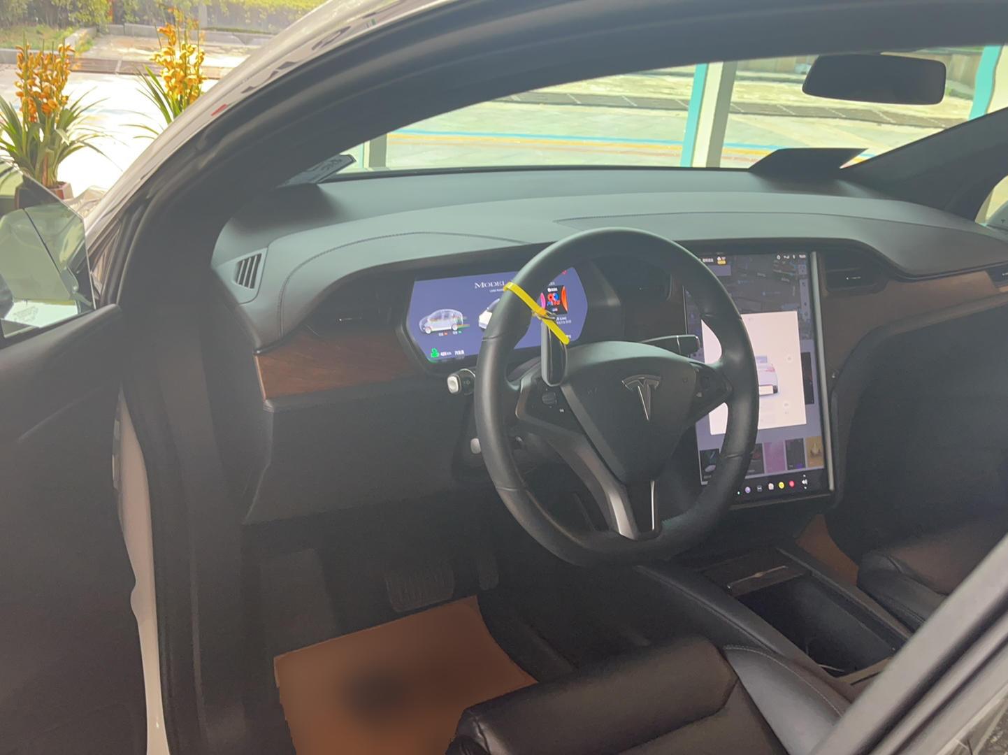 特斯拉Model X 2019款 长续航版(进口)