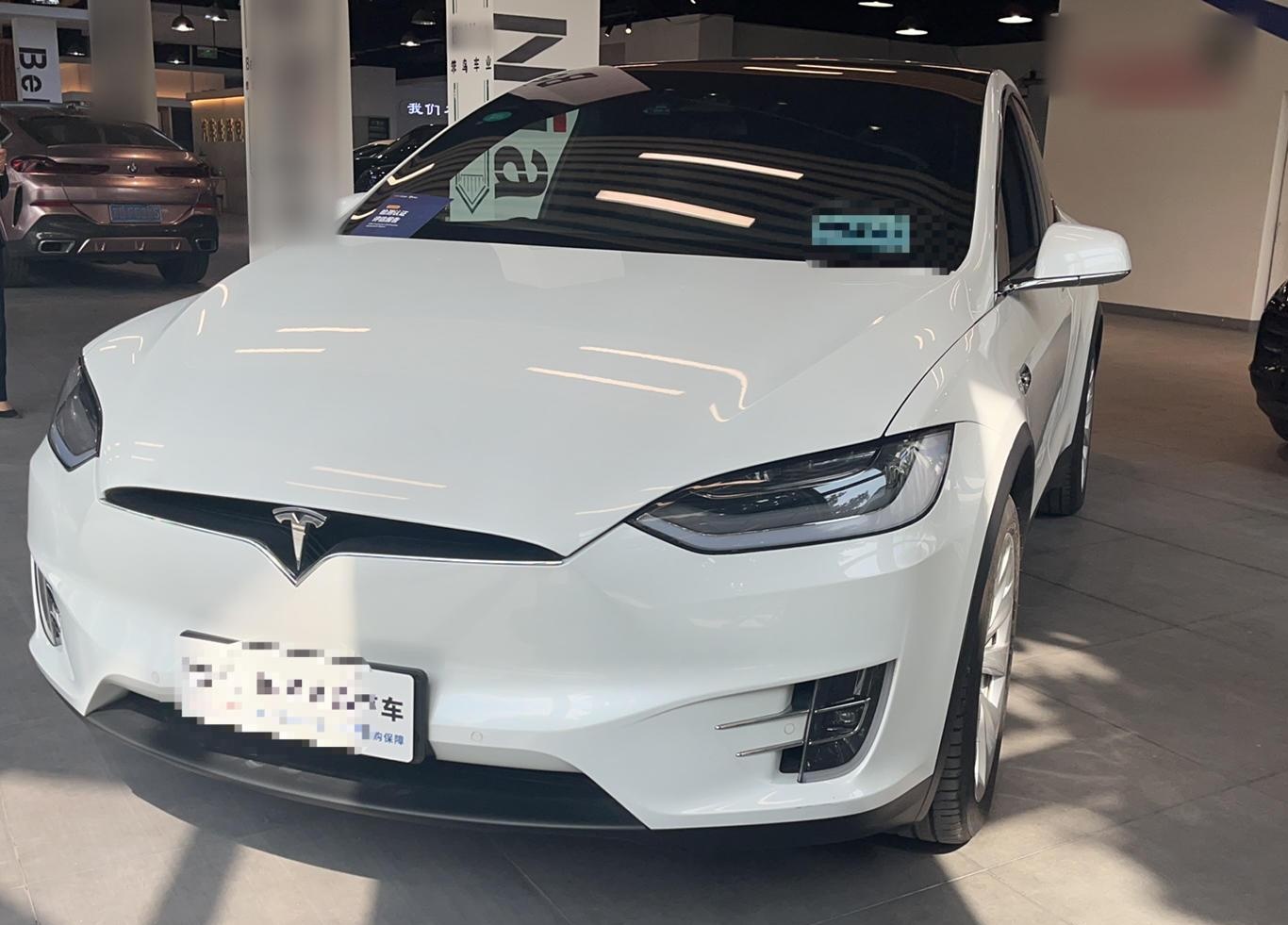 特斯拉Model X 2019款 长续航版(进口)