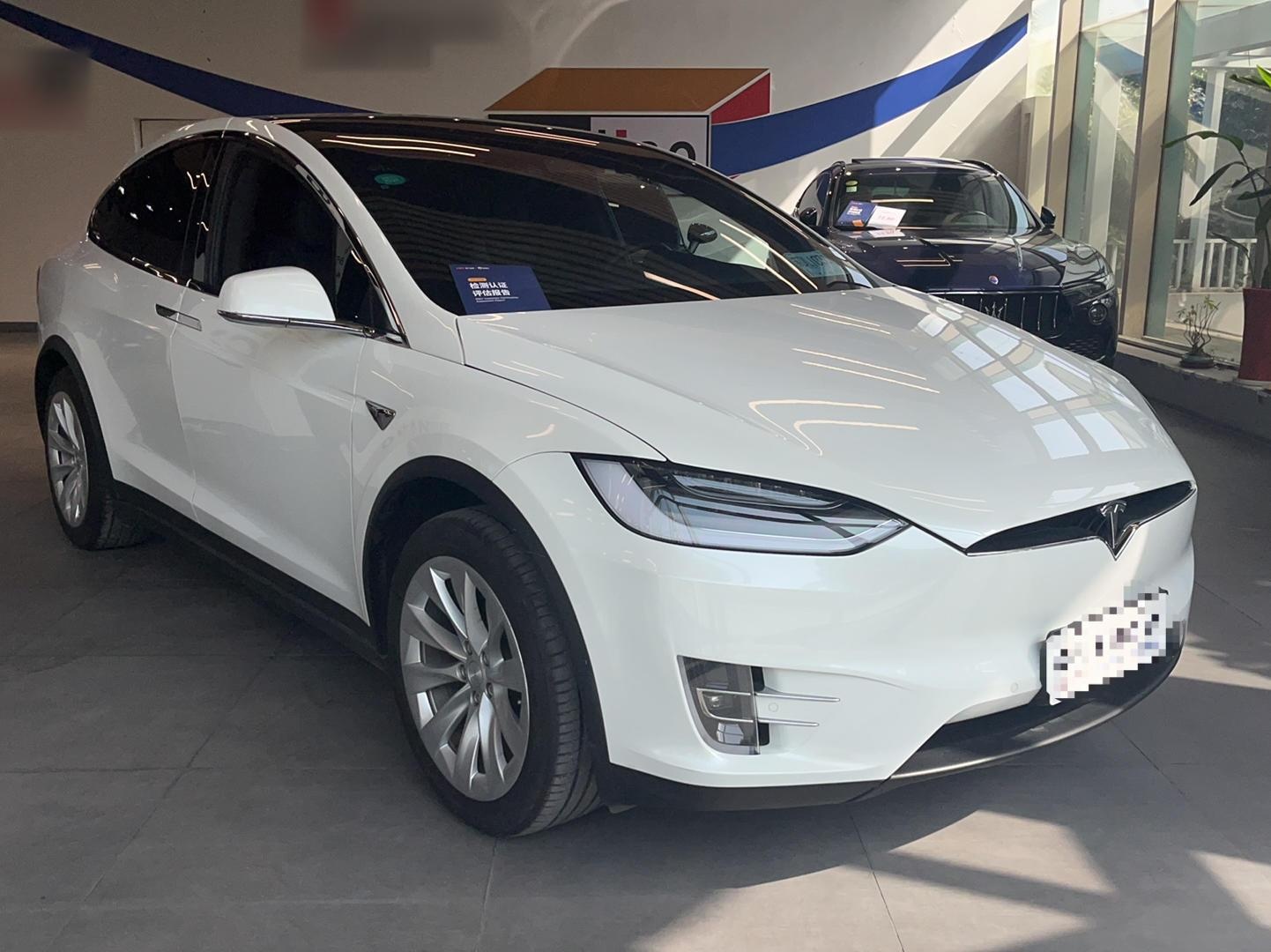 特斯拉Model X 2019款 长续航版(进口)