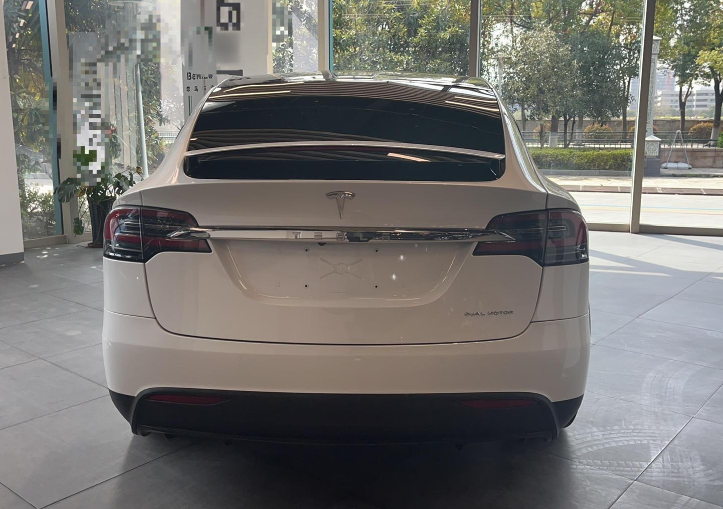 特斯拉Model X 2019款 长续航版(进口)