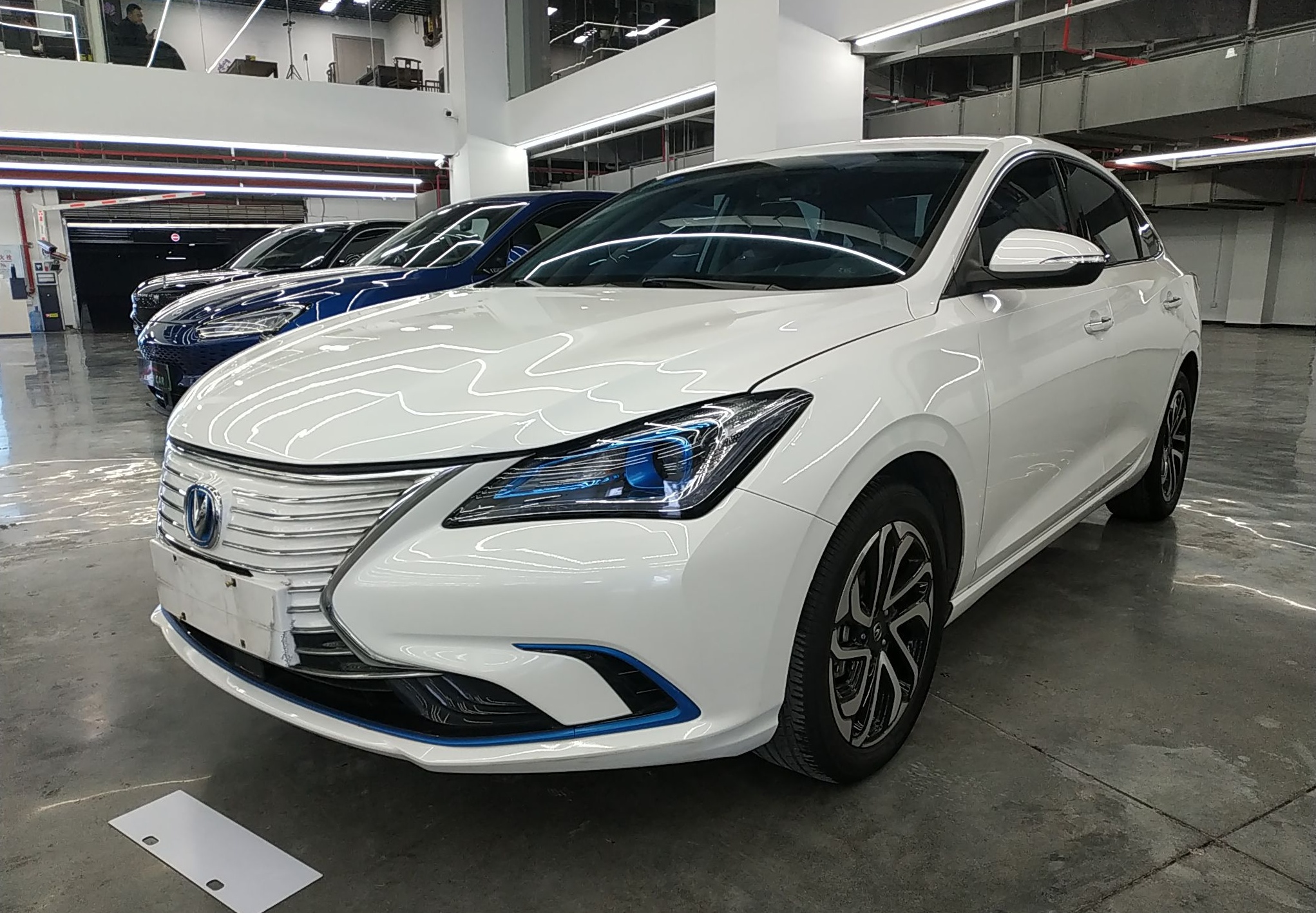 长安 逸动新能源 2019款 EV460 智领版