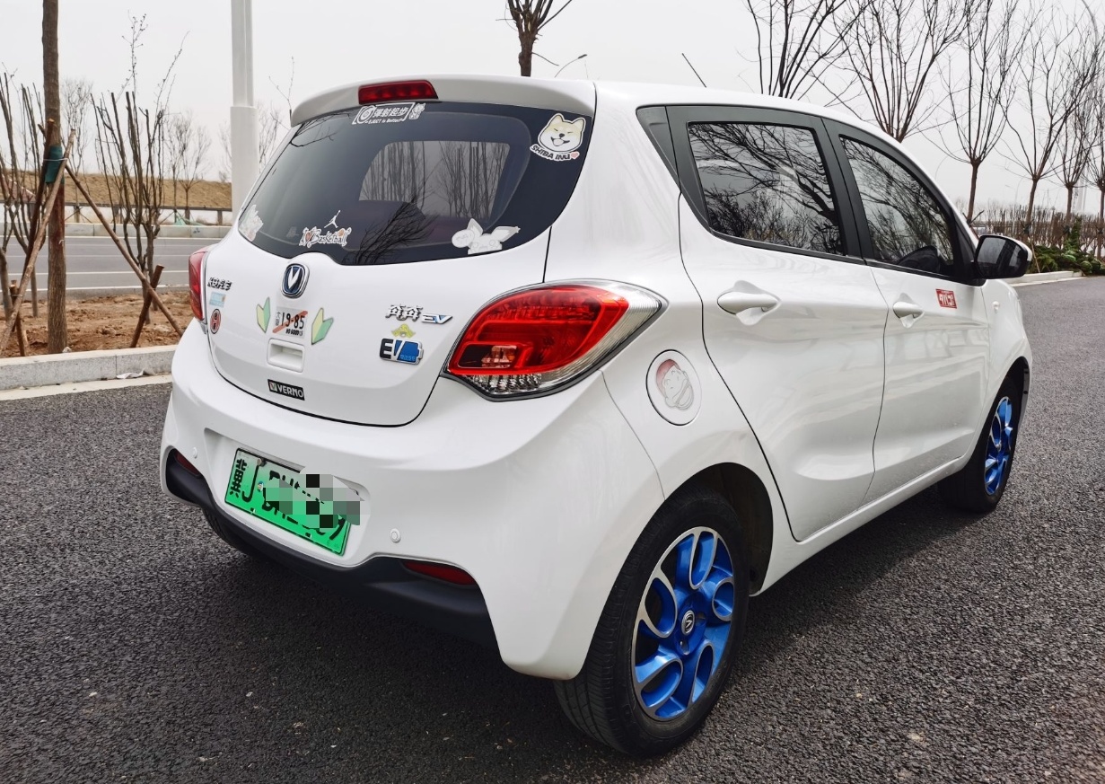 长安 奔奔EV 2019款 EV360 标准型