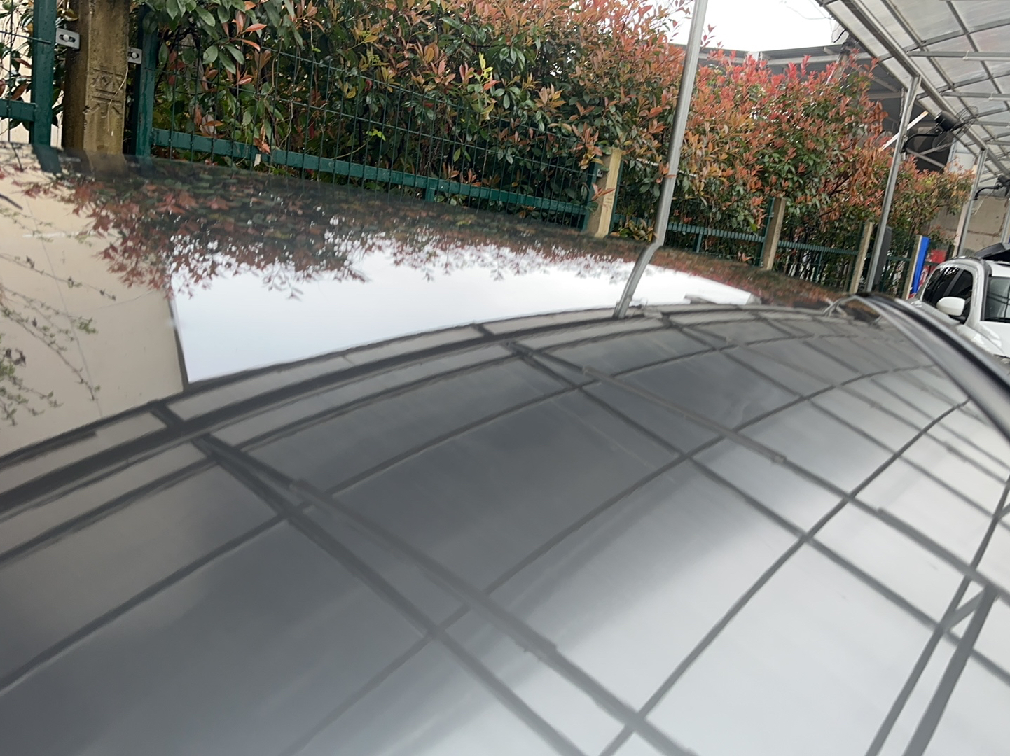 马自达 昂克赛拉 2021款 2.0L 自动质擎版