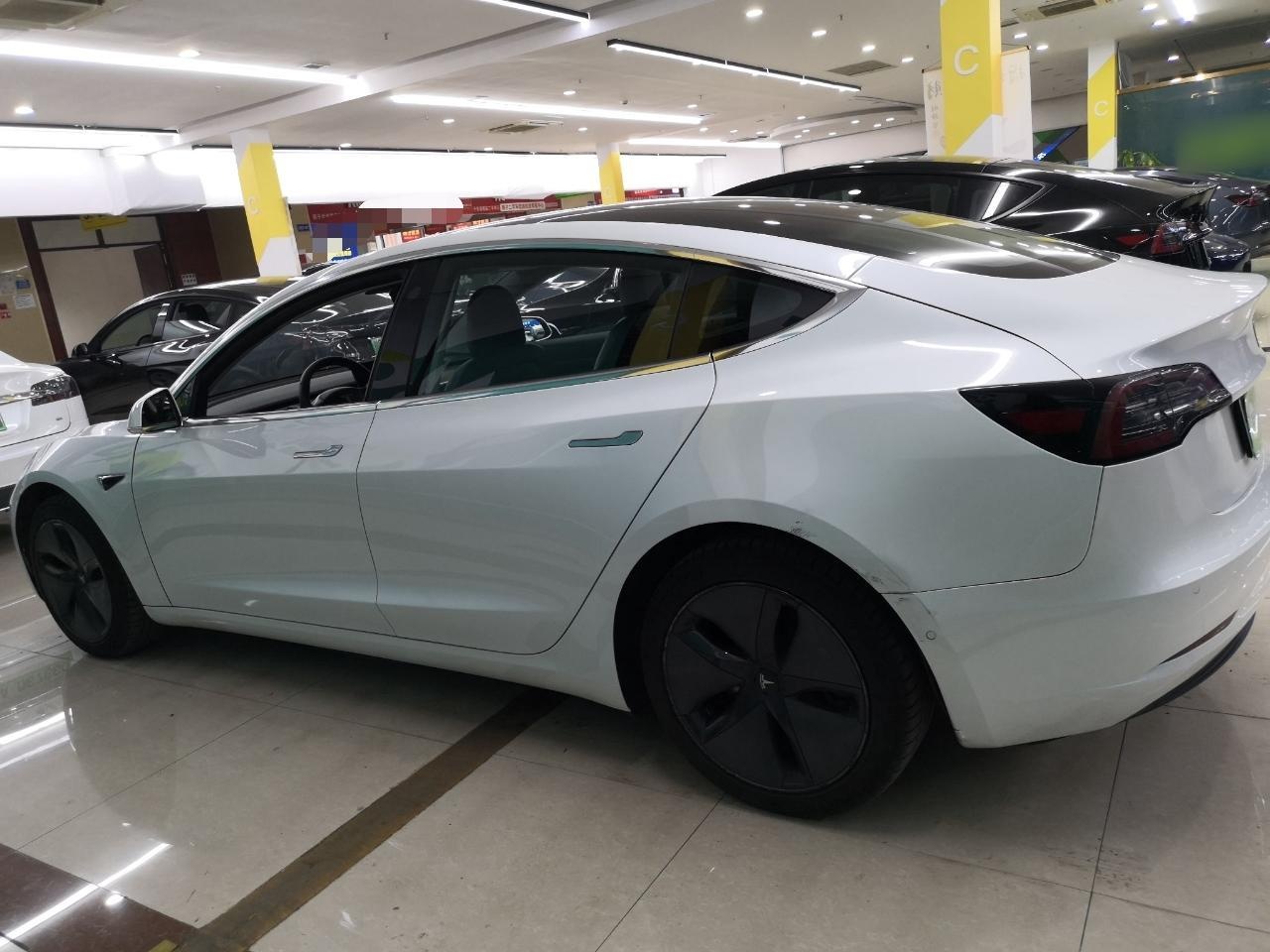 特斯拉 Model 3 2019款 标准续航后驱升级版