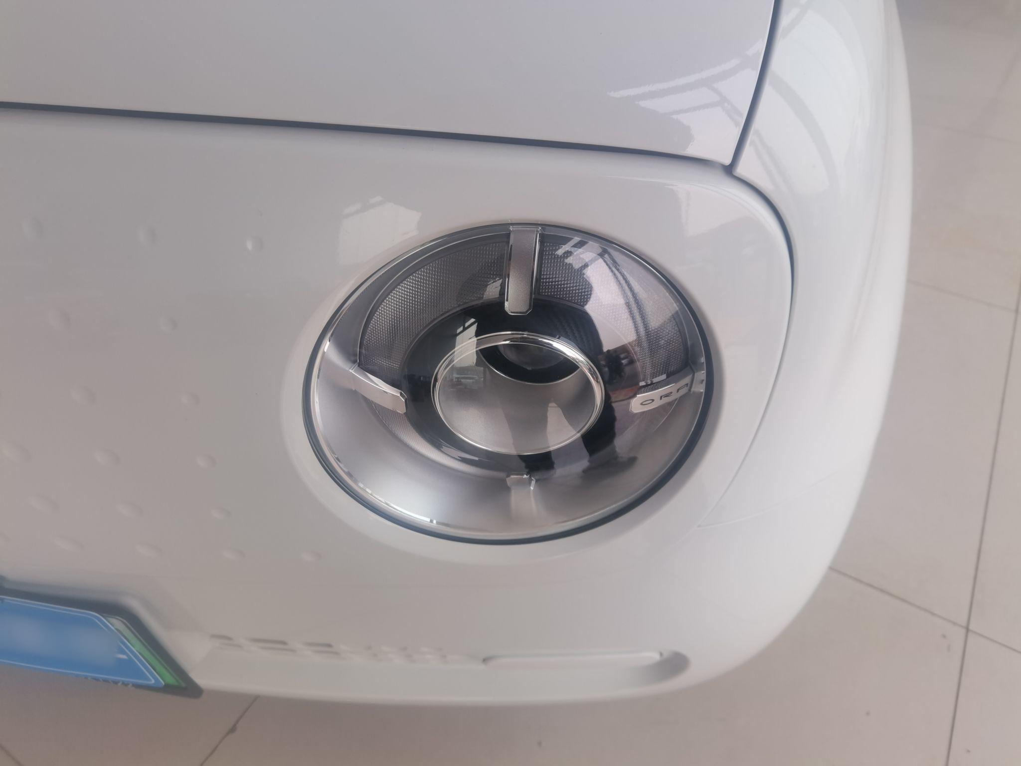 欧拉黑猫 2021款 301km 基础型