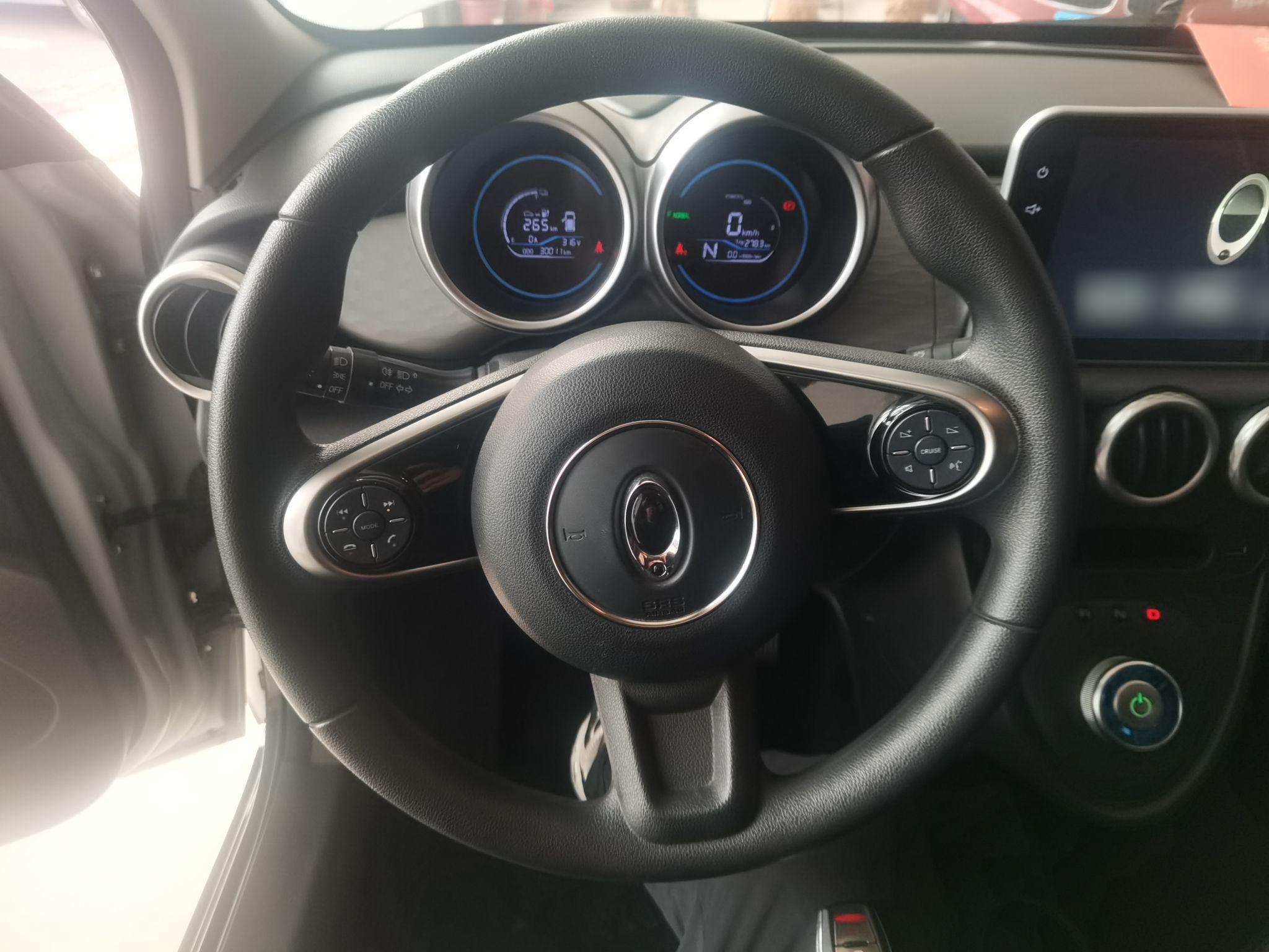 欧拉黑猫 2021款 301km 基础型