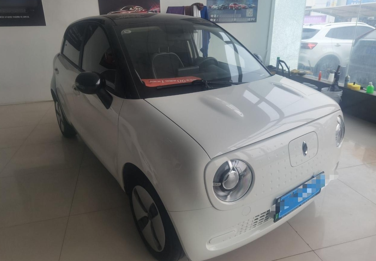 欧拉黑猫 2021款 301km 基础型