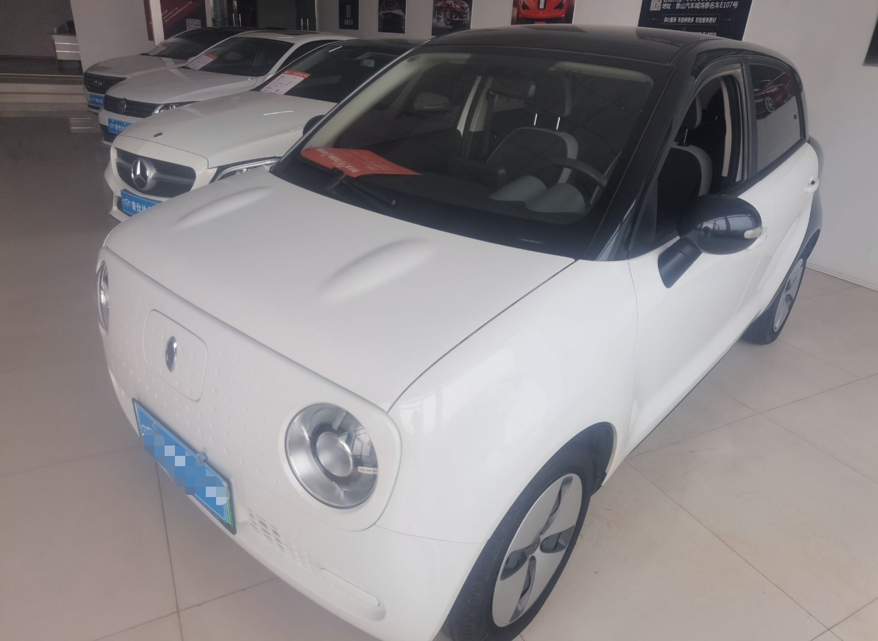 欧拉黑猫 2021款 301km 基础型