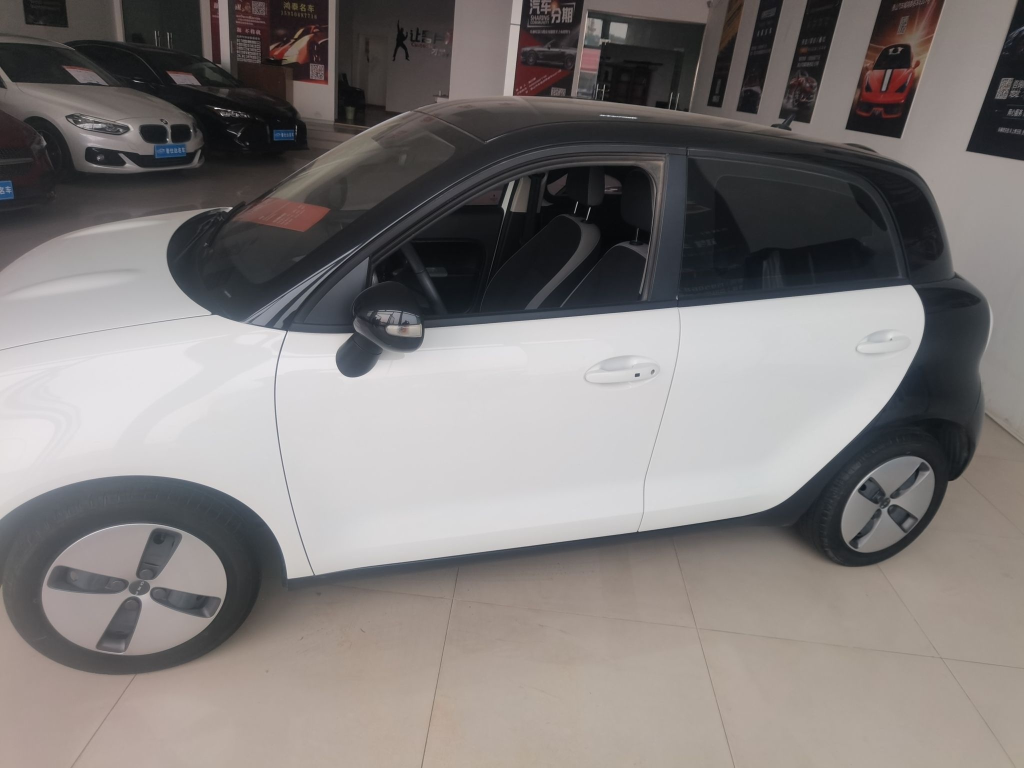 欧拉黑猫 2021款 301km 基础型