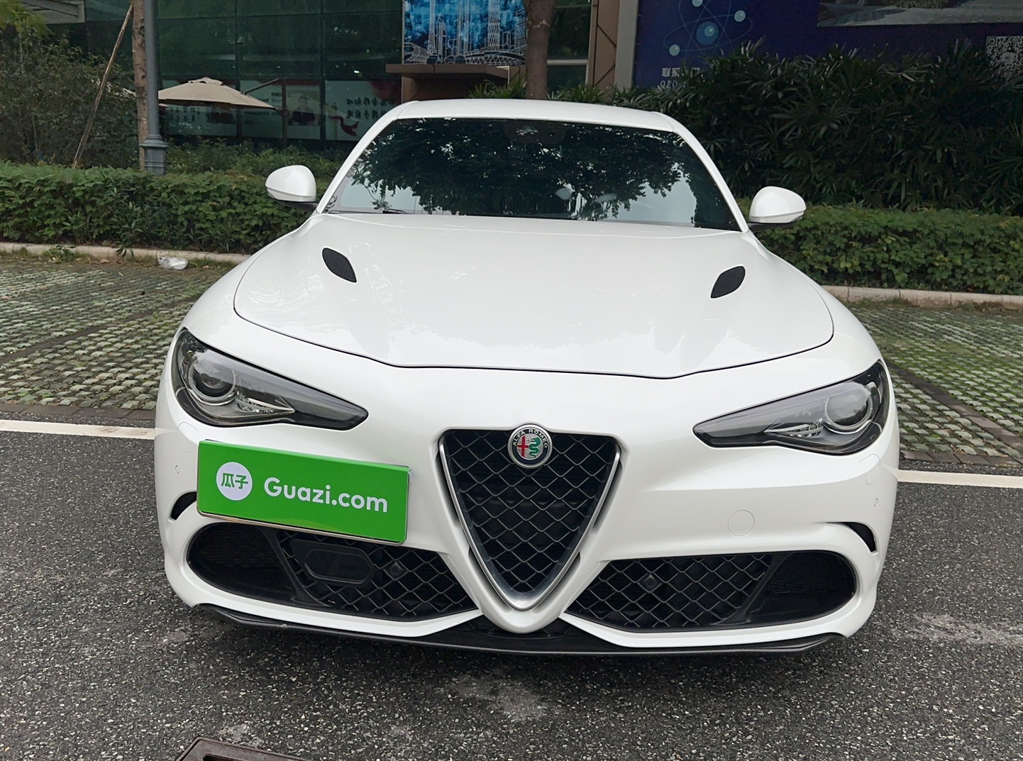 阿尔法·罗密欧 Giulia 2017款 2.9T 510HP 四叶草版