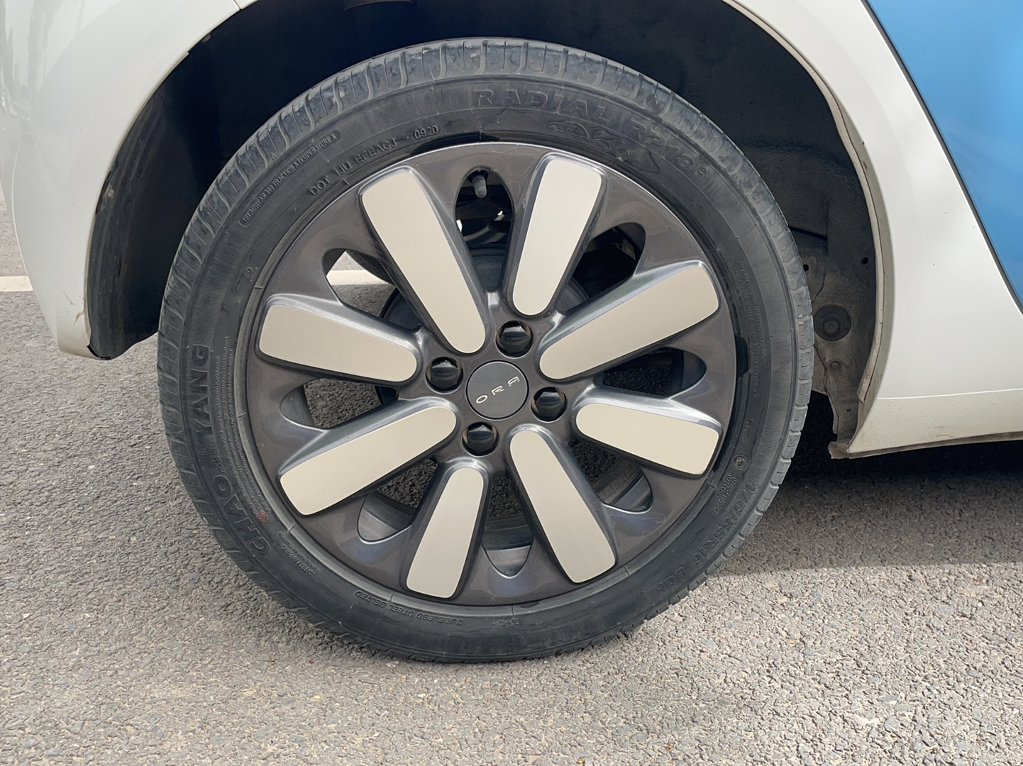 欧拉黑猫 2019款 351km 亲子版