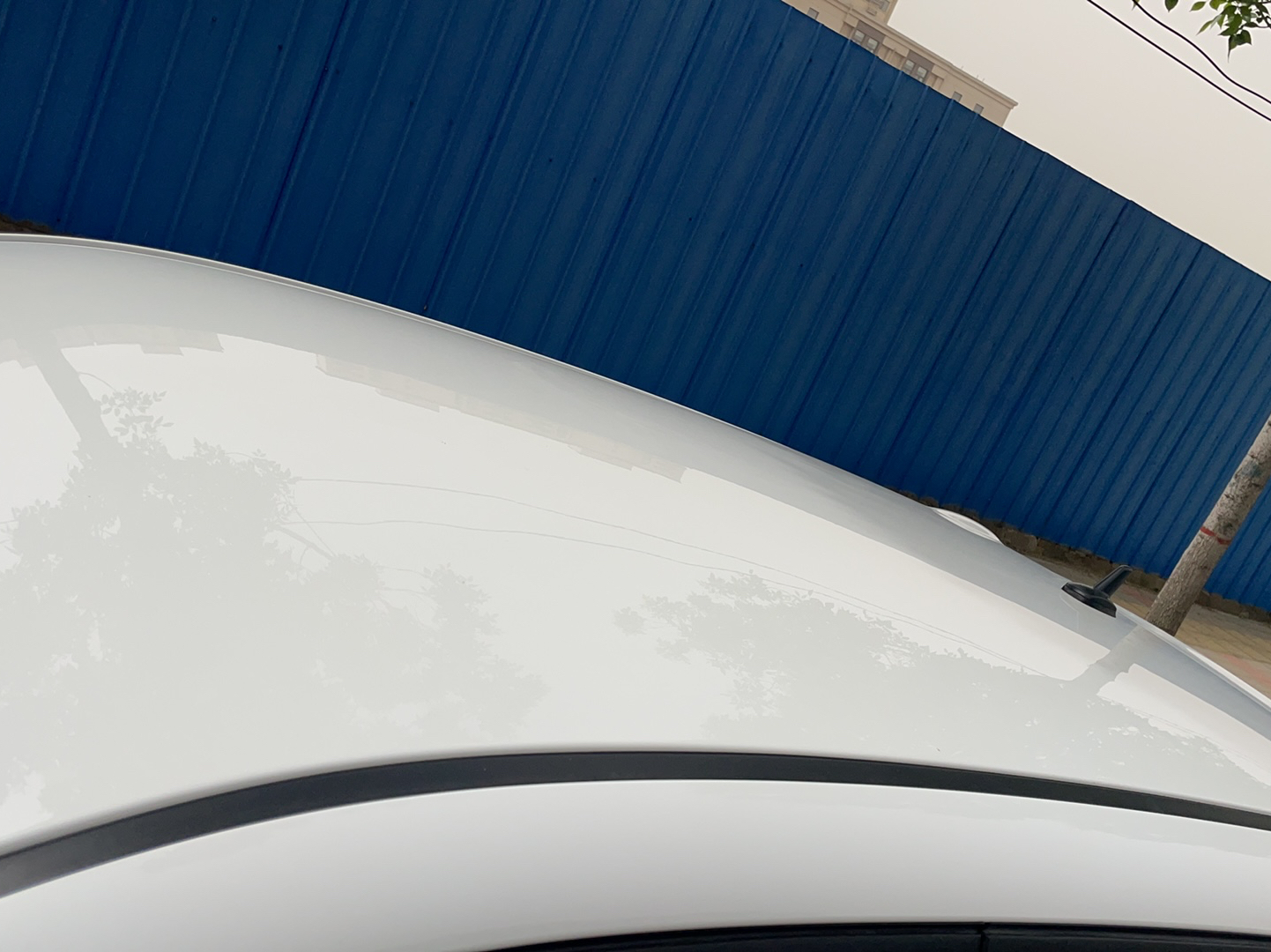 欧拉黑猫 2019款 351km 亲子版