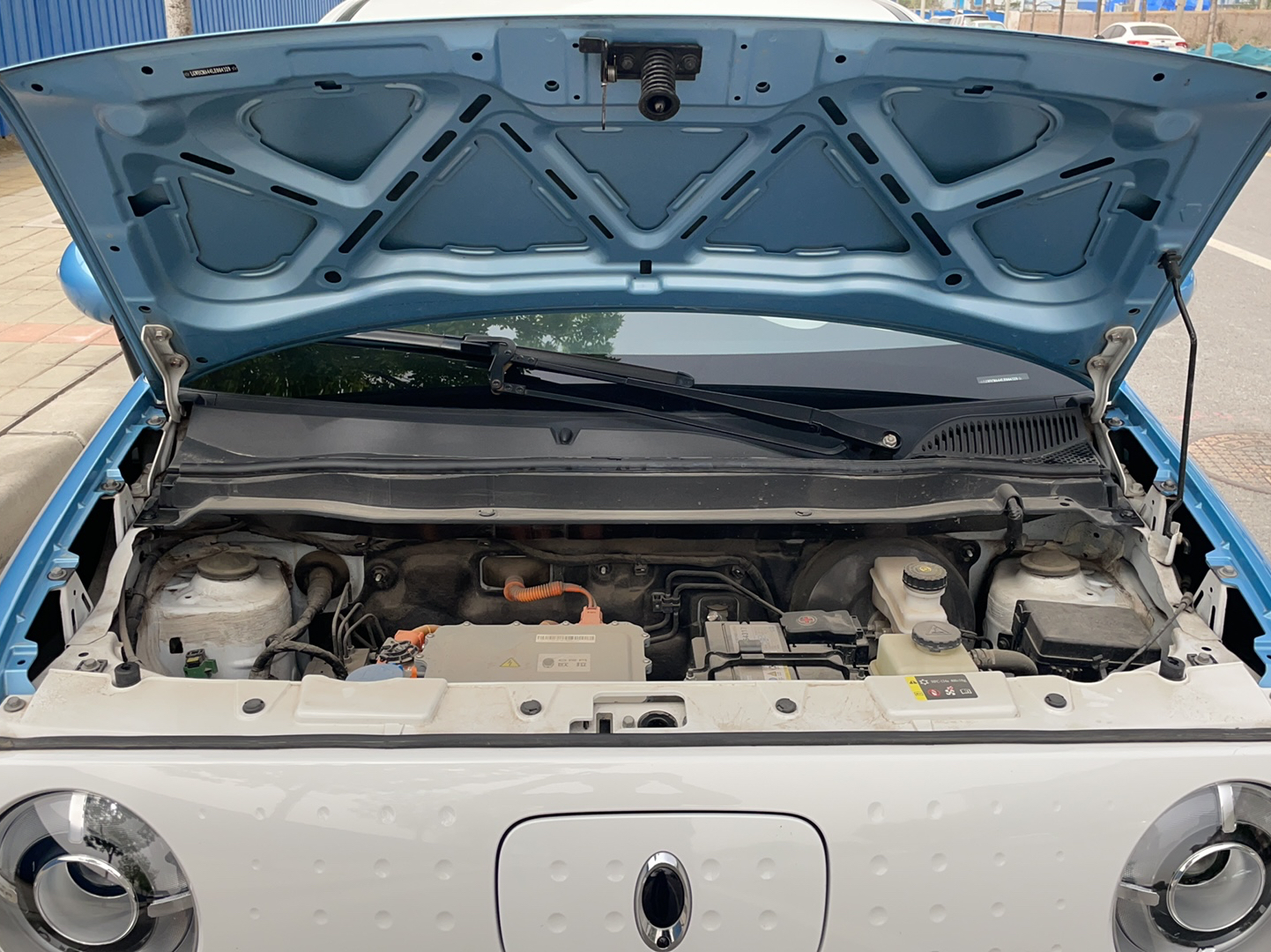 欧拉黑猫 2019款 351km 亲子版