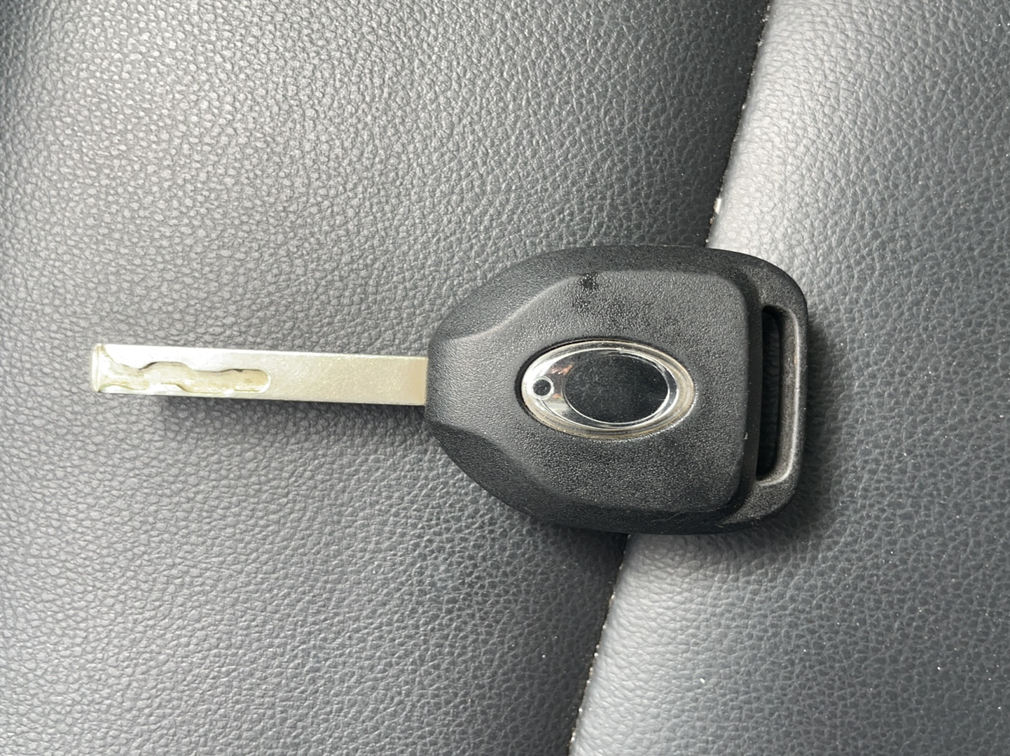 欧拉黑猫 2019款 351km 亲子版