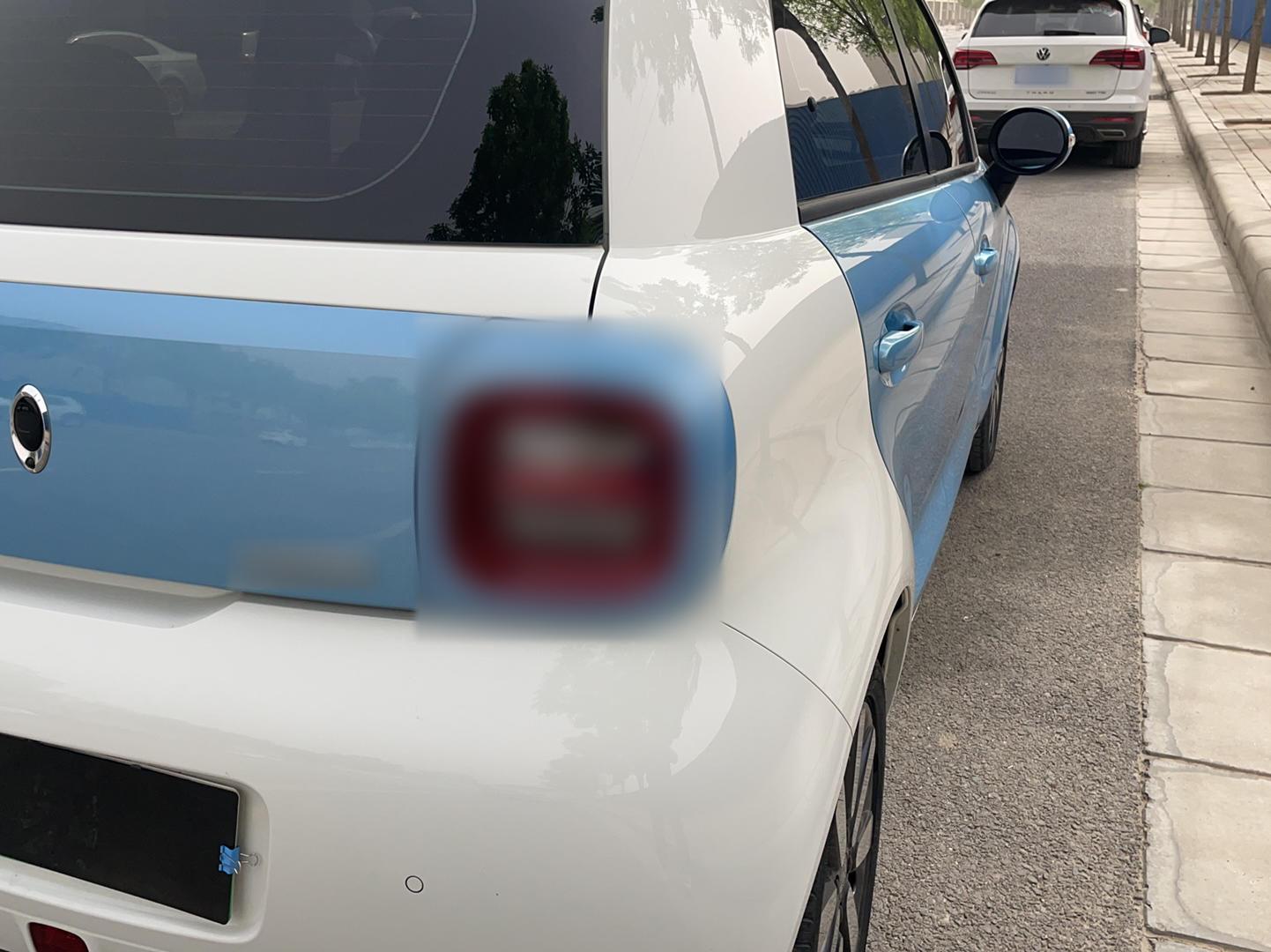 欧拉黑猫 2019款 351km 亲子版