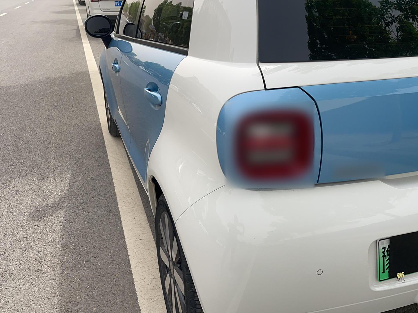 欧拉黑猫 2019款 351km 亲子版