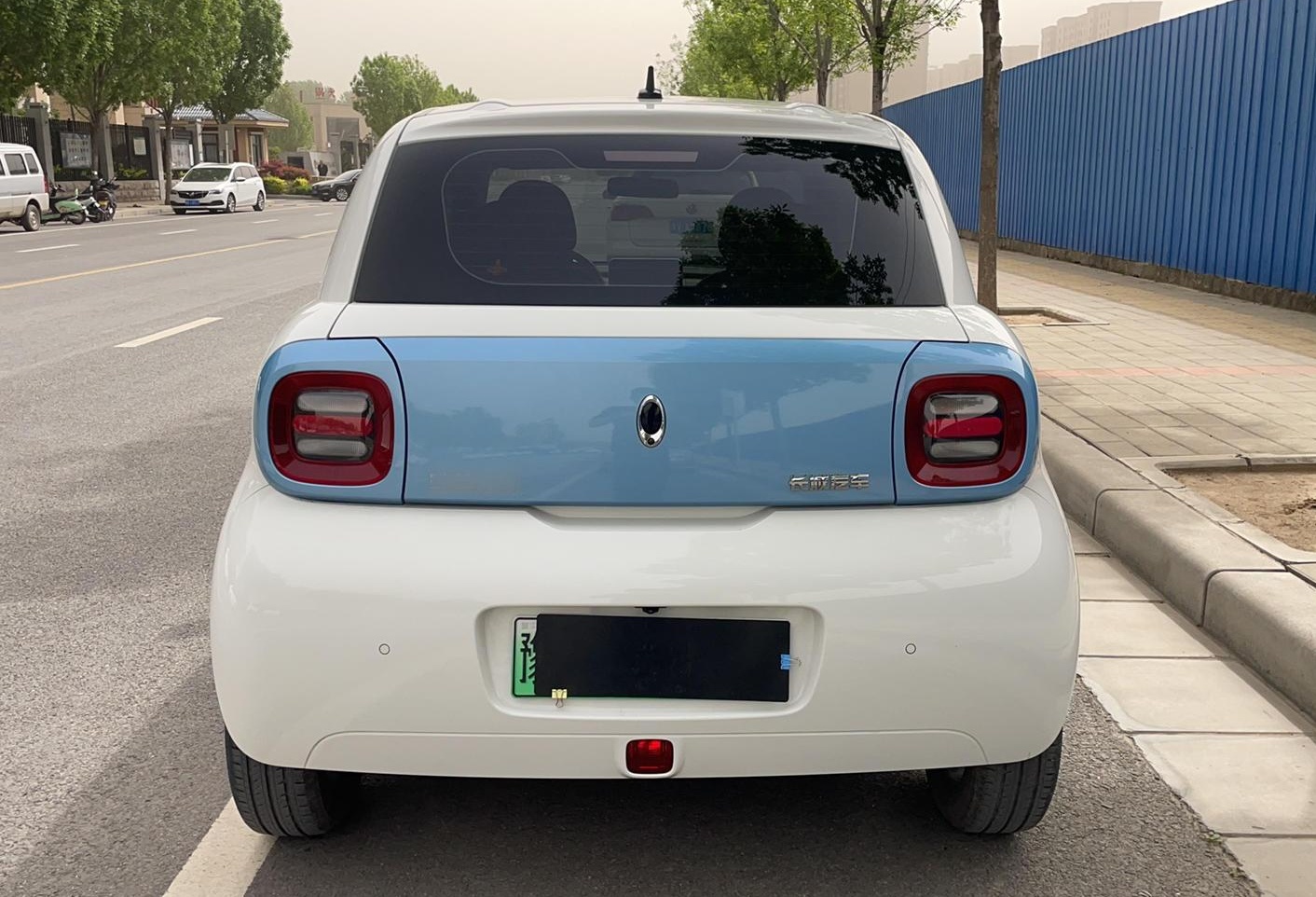 欧拉黑猫 2019款 351km 亲子版