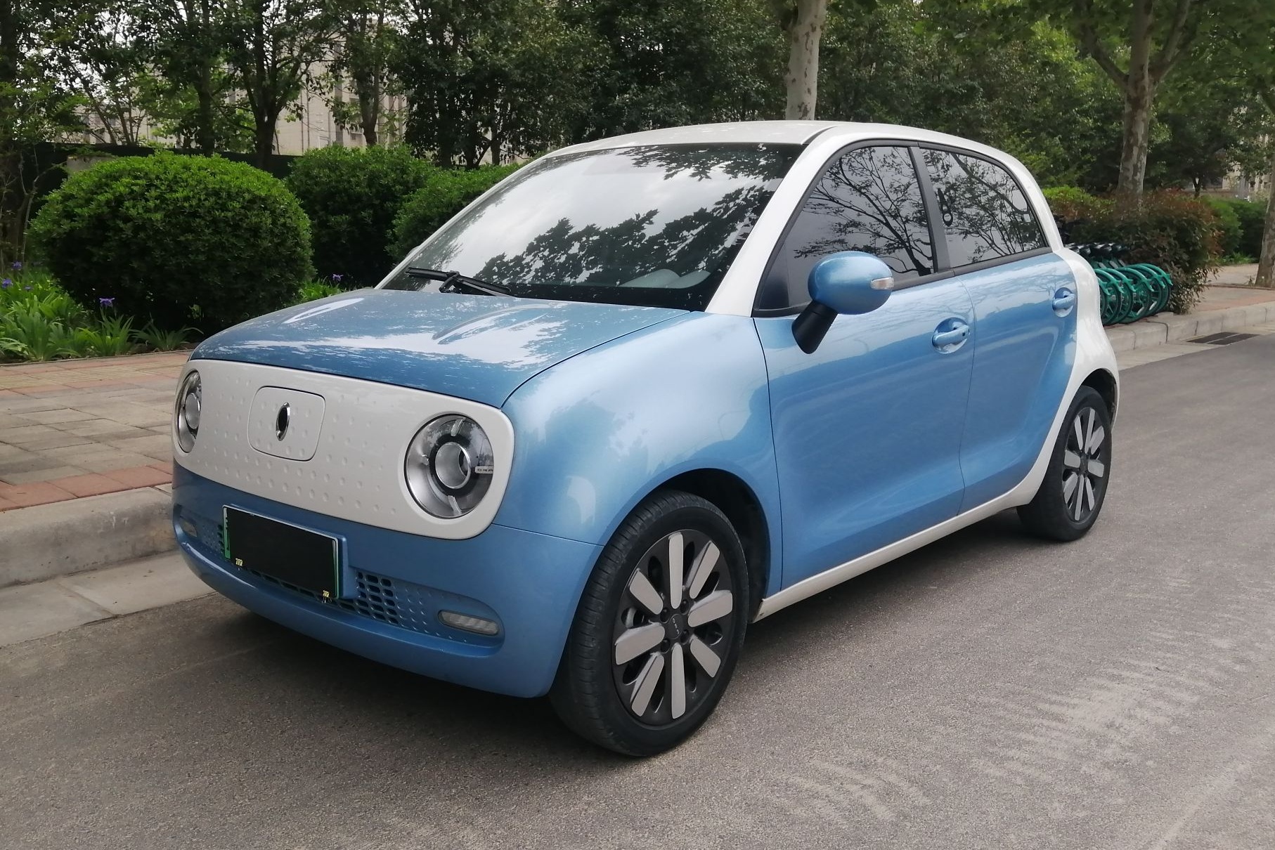 欧拉黑猫 2019款 351km 亲子版