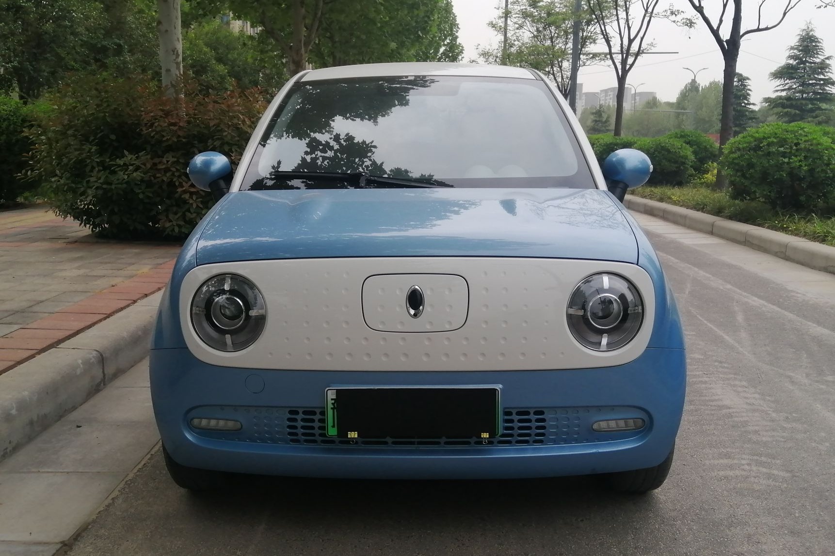 欧拉黑猫 2019款 351km 亲子版