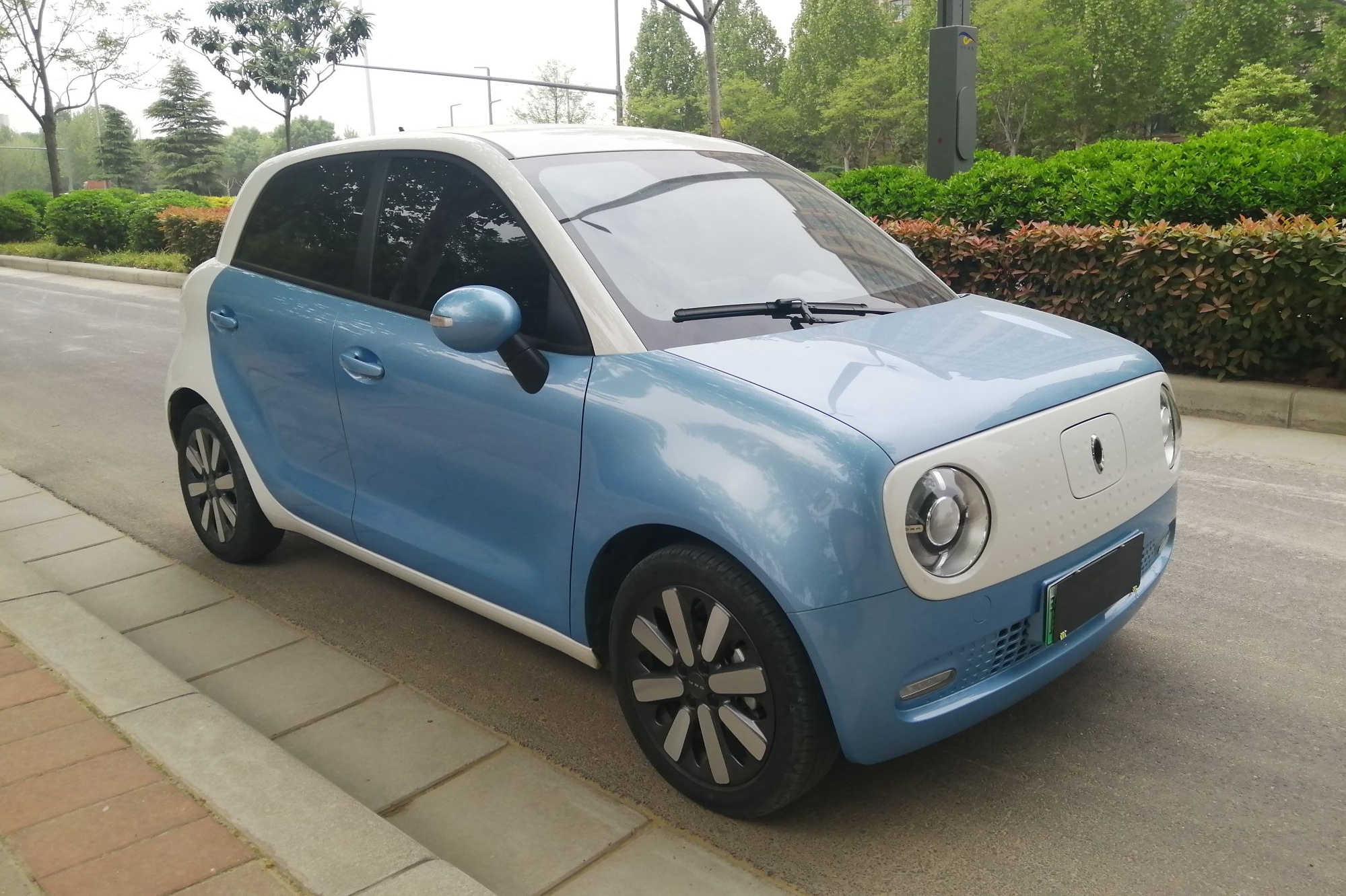 欧拉黑猫 2019款 351km 亲子版