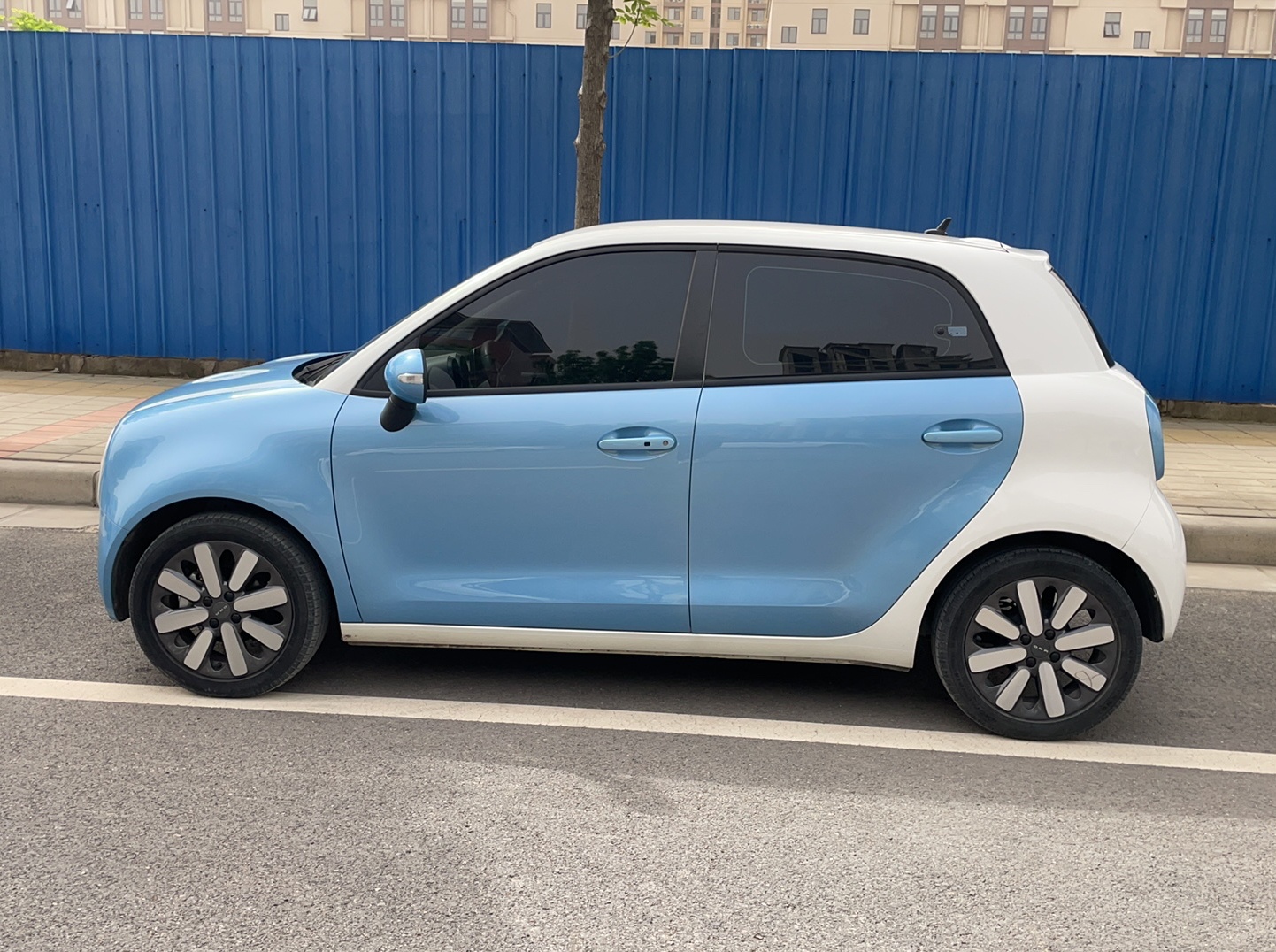 欧拉黑猫 2019款 351km 亲子版