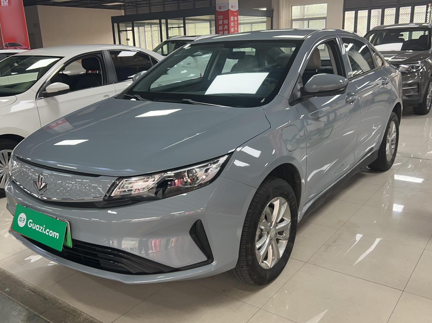 睿蓝汽车 枫叶60S 2022款 改款 易行版 磷酸铁锂