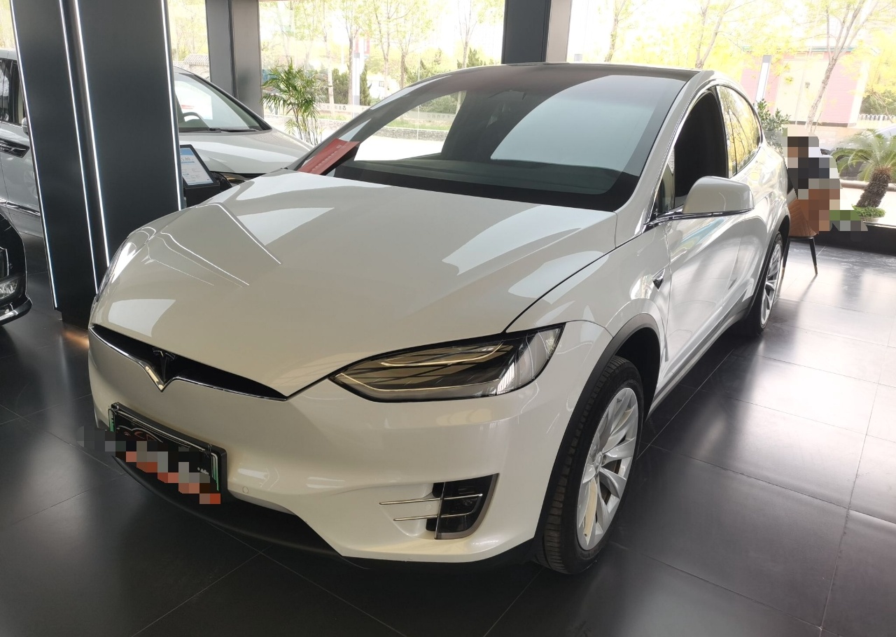 特斯拉Model X 2019款 长续航版(进口)