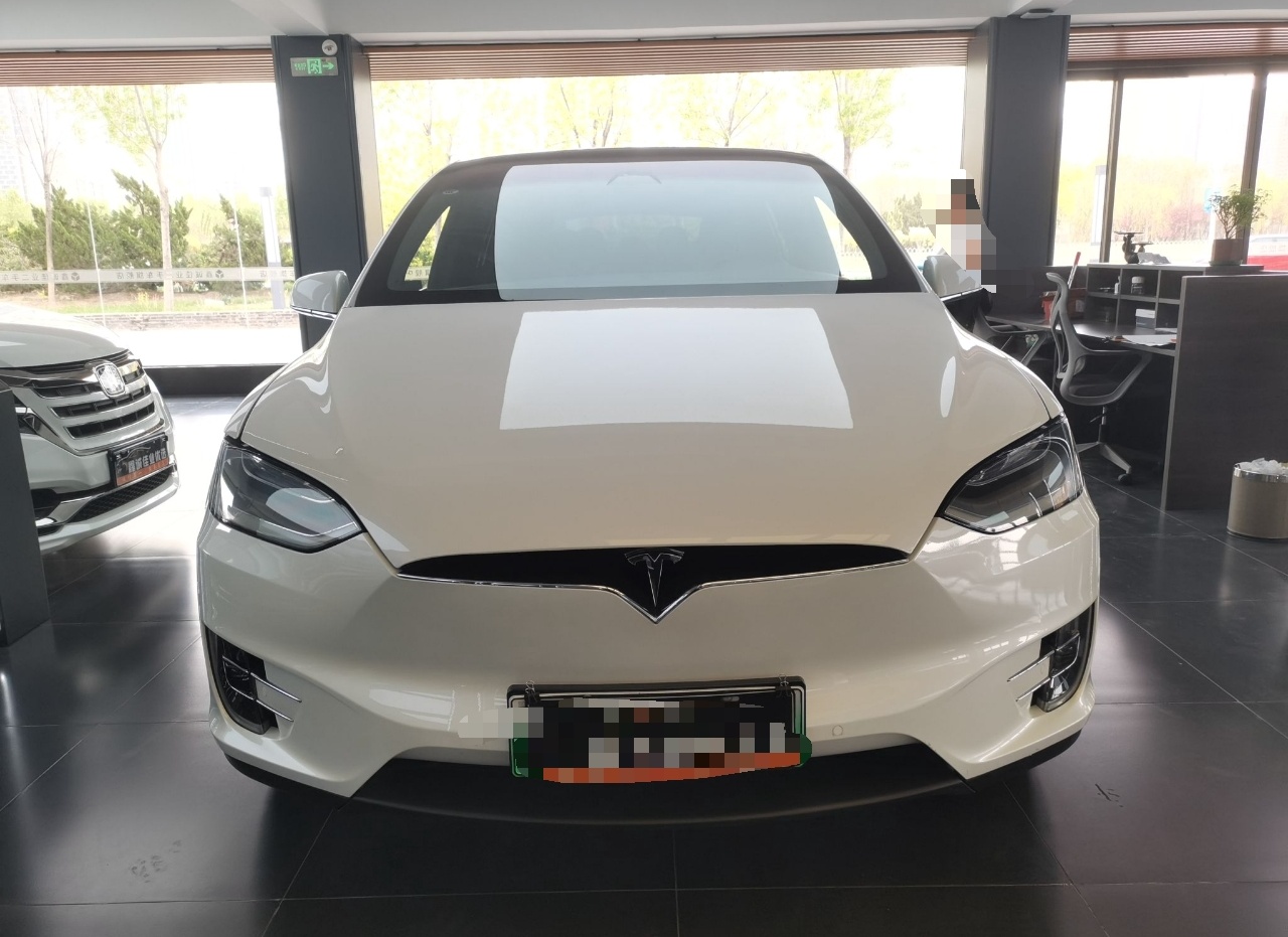 特斯拉Model X 2019款 长续航版(进口)