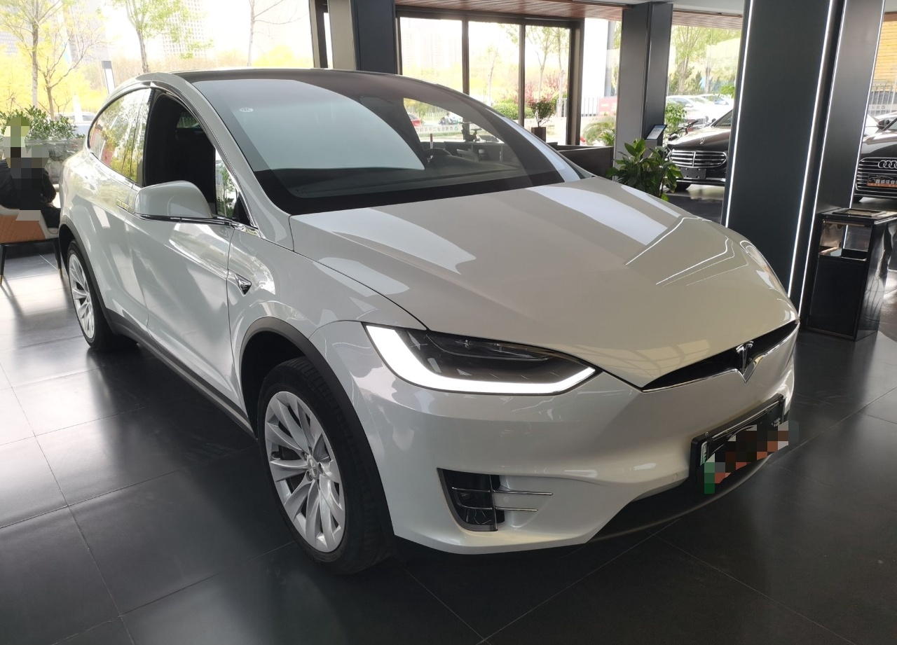 特斯拉Model X 2019款 长续航版(进口)