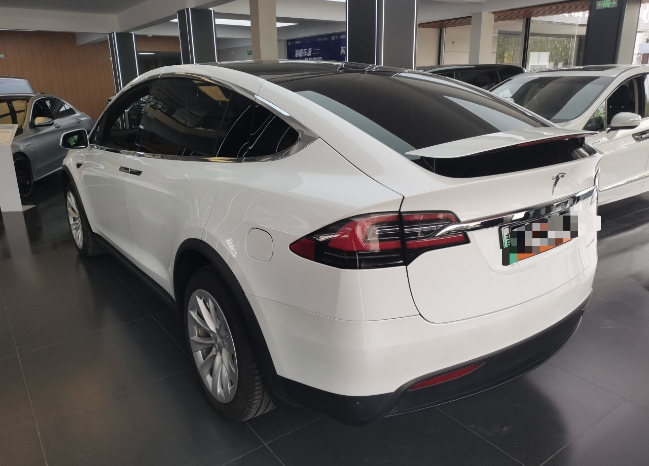 特斯拉Model X 2019款 长续航版(进口)