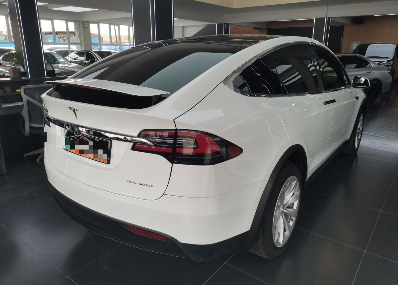 特斯拉Model X 2019款 长续航版(进口)