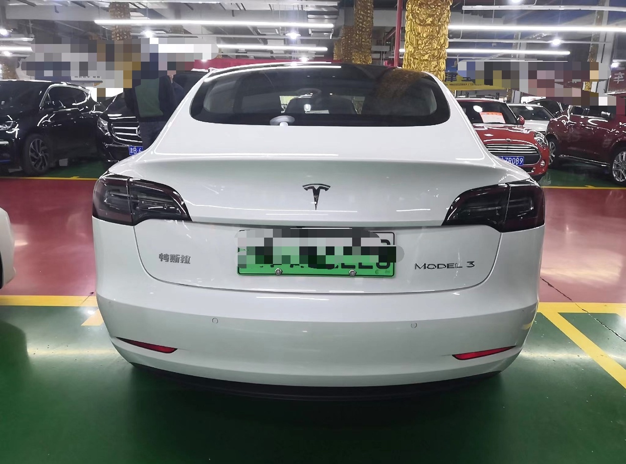 特斯拉 Model 3 2019款 标准续航后驱升级版